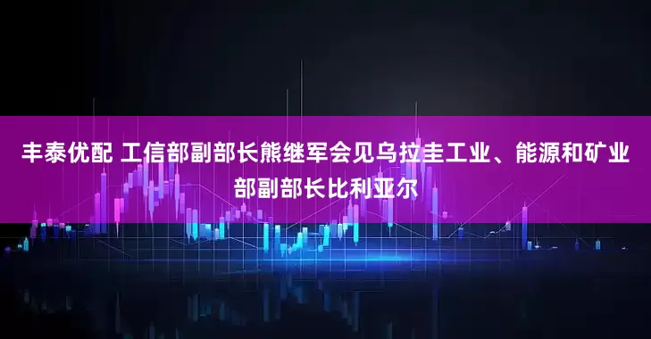 丰泰优配 工信部副部长熊继军会见乌拉圭工业、能源和矿业部副部长比利亚尔