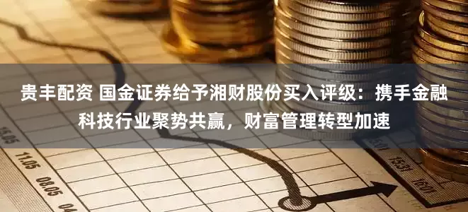 贵丰配资 国金证券给予湘财股份买入评级：携手金融科技行业聚势共赢，财富管理转型加速